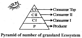 Bihar Board 12th Biology Important Questions Short Answer Type Part 2, 1