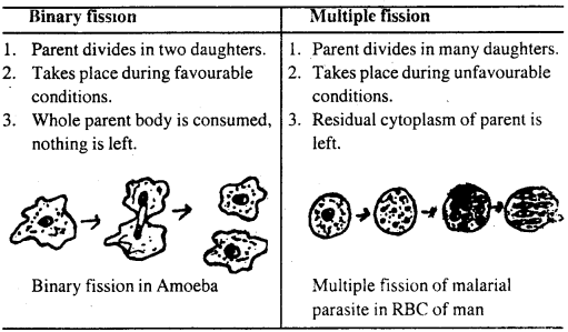 Bihar Board 12th Biology Important Questions Short Answer Type Part 2, 2