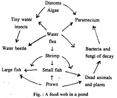 Bihar Board 12th Biology Important Questions Short Answer Type Part 6, 10