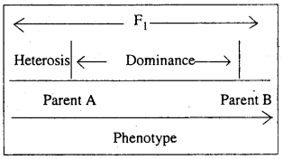 Bihar Board 12th Biology Important Questions Short Answer Type Part 6, 2