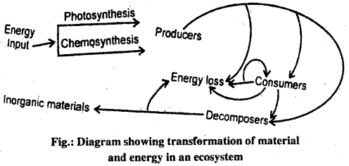 Bihar Board 12th Biology Important Questions Short Answer Type Part 6, 7