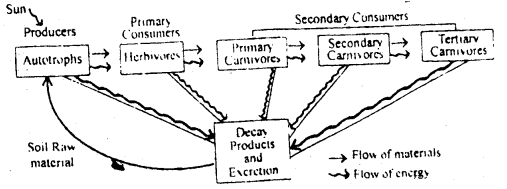 Bihar Board 12th Biology Important Questions Short Answer Type Part 6, 9