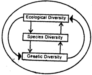 Bihar Board 12th Biology Important Questions Short Answer Type Part 7, 1