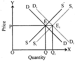 Bihar Board 12th Business Economics Important Questions Long Answer Type Part 1, 13