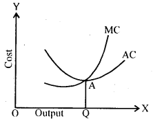Bihar Board 12th Business Economics Important Questions Long Answer Type Part 2, 8