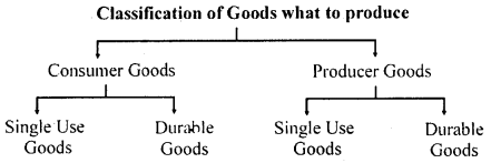 Bihar Board 12th Business Economics Important Questions Short Answer Type Part 5, 5