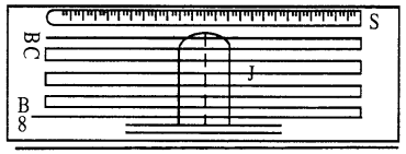 Bihar Board 12th Physics Important Questions Long Answer Type Part 1, 10
