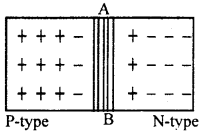 Bihar Board 12th Physics Important Questions Short Answer Type Part 2, 25