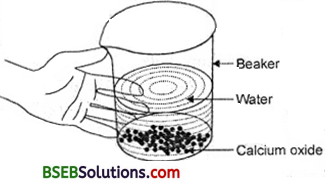 Bihar Board Class 10 Science Solutions Chapter 1 Chemical Reactions and Equations - 1
