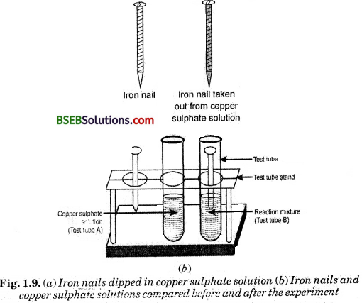 Bihar Board Class 10 Science Solutions Chapter 1 Chemical Reactions and Equations - 10
