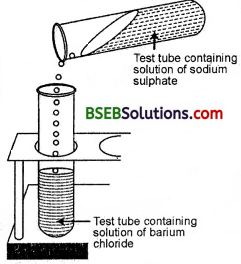 Bihar Board Class 10 Science Solutions Chapter 1 Chemical Reactions and Equations - 11