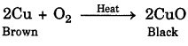 Bihar Board Class 10 Science Solutions Chapter 1 Chemical Reactions and Equations - 20