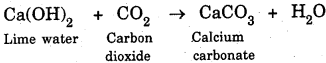 Bihar Board Class 10 Science Solutions Chapter 1 Chemical Reactions and Equations - 32