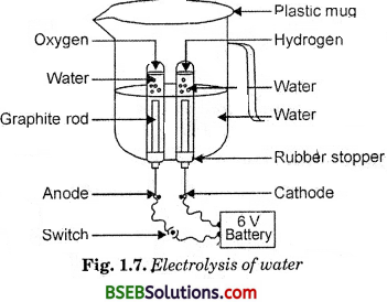 Bihar Board Class 10 Science Solutions Chapter 1 Chemical Reactions and Equations - 6