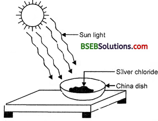 Bihar Board Class 10 Science Solutions Chapter 1 Chemical Reactions and Equations - 7