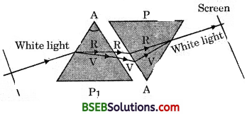Bihar Board Class 10 Science Solutions Chapter 11 The Htan Eye and the Colourful World - 10