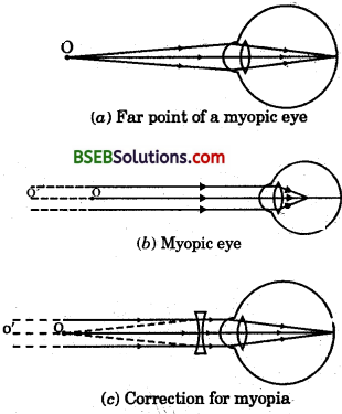 Bihar Board Class 10 Science Solutions Chapter 11 The Htan Eye and the Colourful World - 14