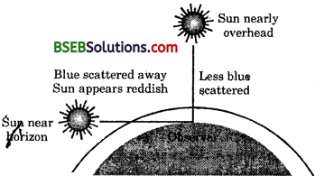 Bihar Board Class 10 Science Solutions Chapter 11 The Htan Eye and the Colourful World - 17