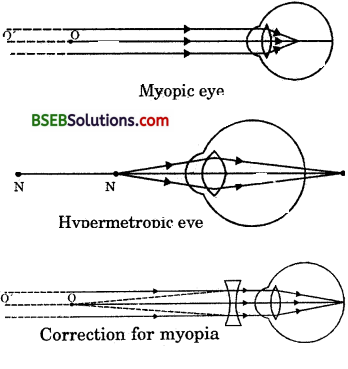 Bihar Board Class 10 Science Solutions Chapter 11 The Htan Eye and the Colourful World - 8