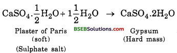 Bihar Board Class 10 Science Solutions Chapter 2 Acids, Bases and Salts - 18