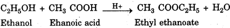 Bihar Board Class 10 Science Solutions Chapter 4 Carbon and its Compounds - 26