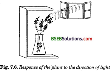Bihar Board Class 10 Science Solutions Chapter 7 Control and Coordination - 5
