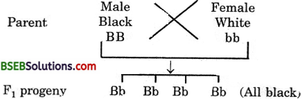 Bihar Board Class 10 Science Solutions Chapter 9 Heredity and Evolution - 6