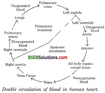 Bihar Board Class 10 Science Solutions Chapter Chapter 6 Life Processes - 9