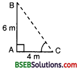 Bihar Board Class 10th Maths Solutions Chapter 6 Triangles Ex 6.3 18