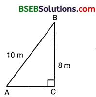 Bihar Board Class 10th Maths Solutions Chapter 6 Triangles Ex 6.5 8