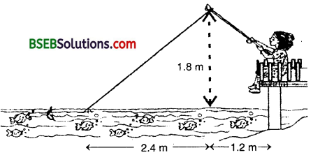 Bihar Board Class 10th Maths Solutions Chapter 6 Triangles Ex 6.6 17