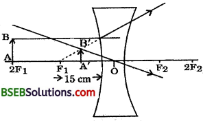 Bihar Board Class 10 Science Solutions Chapter 10 Light Reflection and Refraction - 5