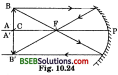 Bihar Board Class 10 Science Solutions Chapter 10 Light Reflection and Refraction - 7