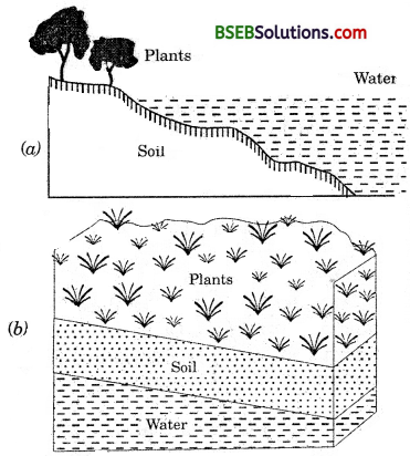 Bihar Board Class 10 Science Solutions Chapter 16 Management of Natural Resources - 2