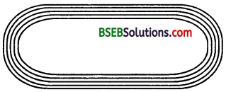 Bihar Board Class 10th Maths Solutions 12 Areas Related to Circles Ex 12.3 13