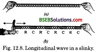 Bihar Board Class 9 Science Solutions Chapter 12 Sound - 12
