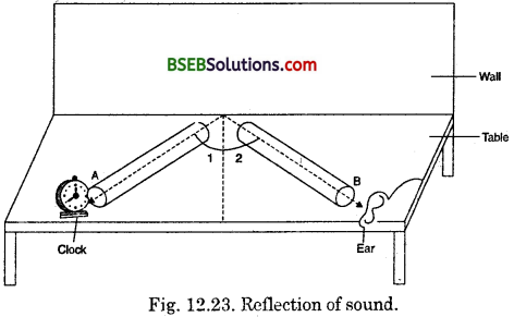 Bihar Board Class 9 Science Solutions Chapter 12 Sound - 13