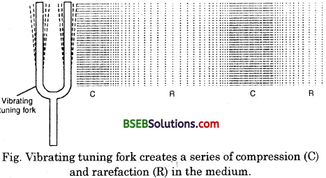 Bihar Board Class 9 Science Solutions Chapter 12 Sound - 3