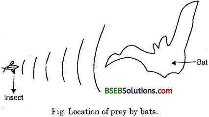 Bihar Board Class 9 Science Solutions Chapter 12 Sound - 7
