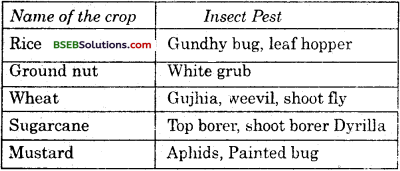 Bihar Board Class 9 Science Solutions Chapter 15 Improvements in Food Resources - 2