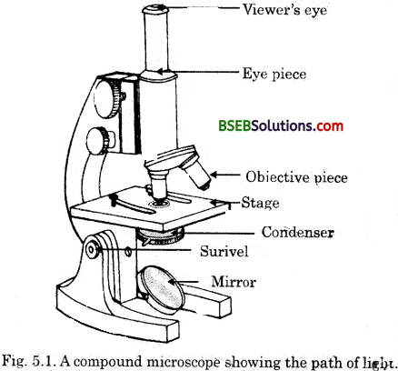 Bihar Board Class 9 Science Solutions Chapter 5 The Fundamental Unit of Life - 1
