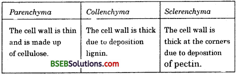 Bihar Board Class 9 Science Solutions Chapter 6 Tissues - 1