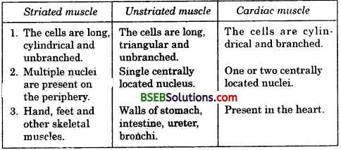 Bihar Board Class 9 Science Solutions Chapter 6 Tissues - 3