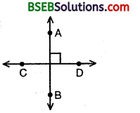 Bihar Board Class 9th Maths Solutions Chapter 5 Introduction to Euclid’s Geometry Ex 5.1 7