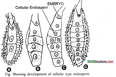 Bihar Board Class 12 Biology Solutions Chapter 1 Reproduction in Organisms 3