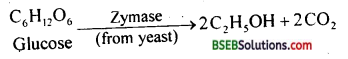 Bihar Board Class 12 Biology Solutions Chapter 10 Microbes in Human Welfare 1
