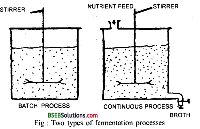 Bihar Board Class 12 Biology Solutions Chapter 10 Microbes in Human Welfare 4