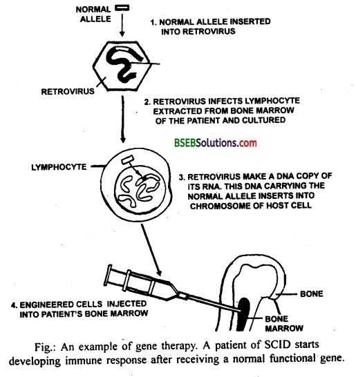 Bihar Board Class 12 Biology Solutions Chapter 12 Biotechnology and its Applications 2