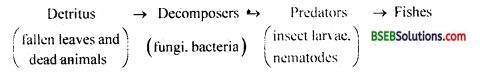Bihar Board Class 12 Biology Solutions Chapter 14 Ecosystem 12