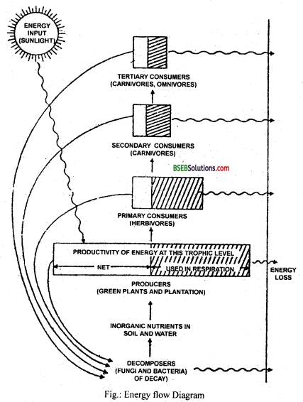 Bihar Board Class 12 Biology Solutions Chapter 14 Ecosystem 15
